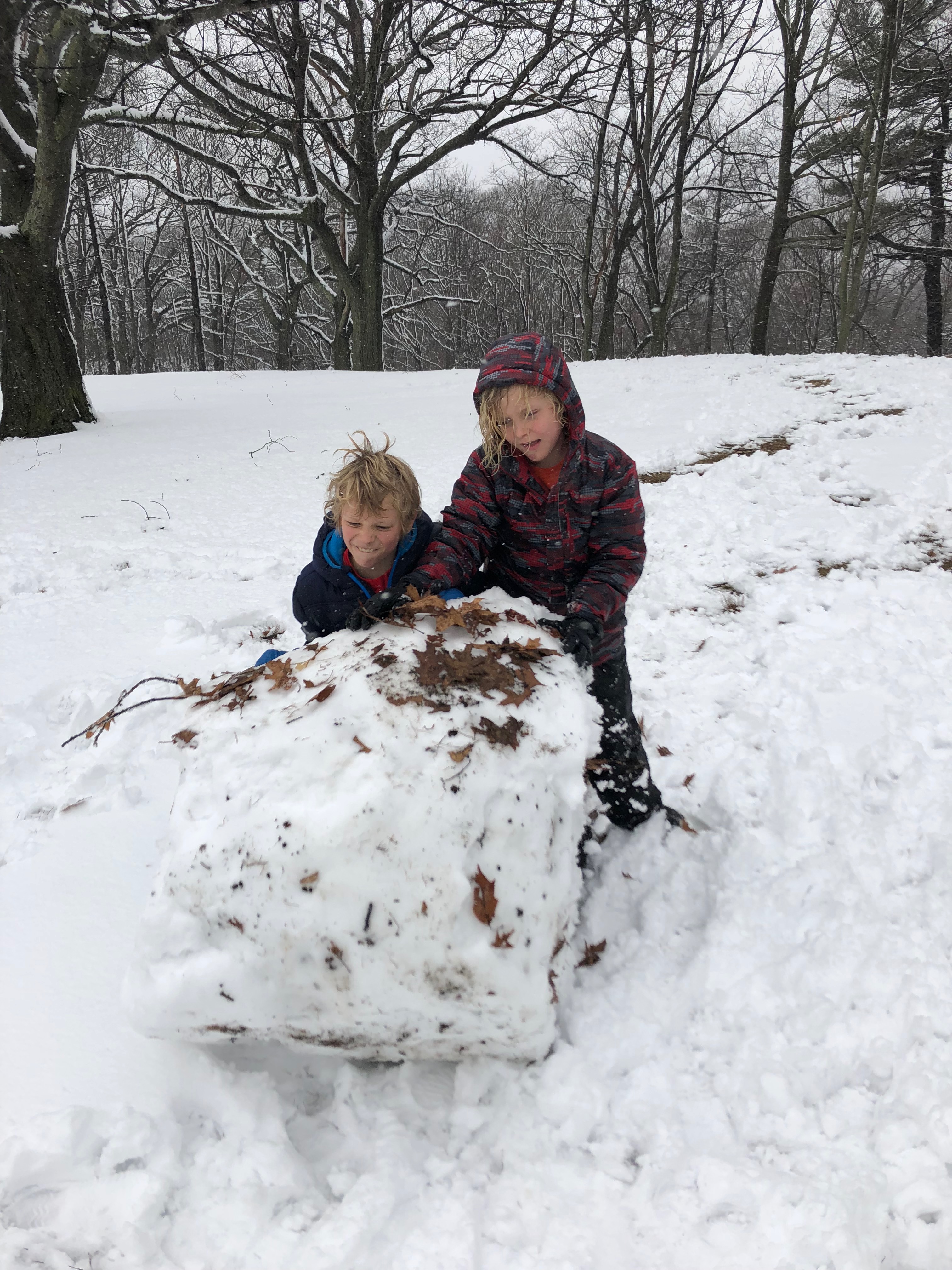 2018 03 08 snow boulder.jpg